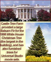 Castle Tree Farm provided the 1998 White House Christmas Tree and has furnished many trees for Universal Studio movie sets.